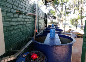 Tanque Químico